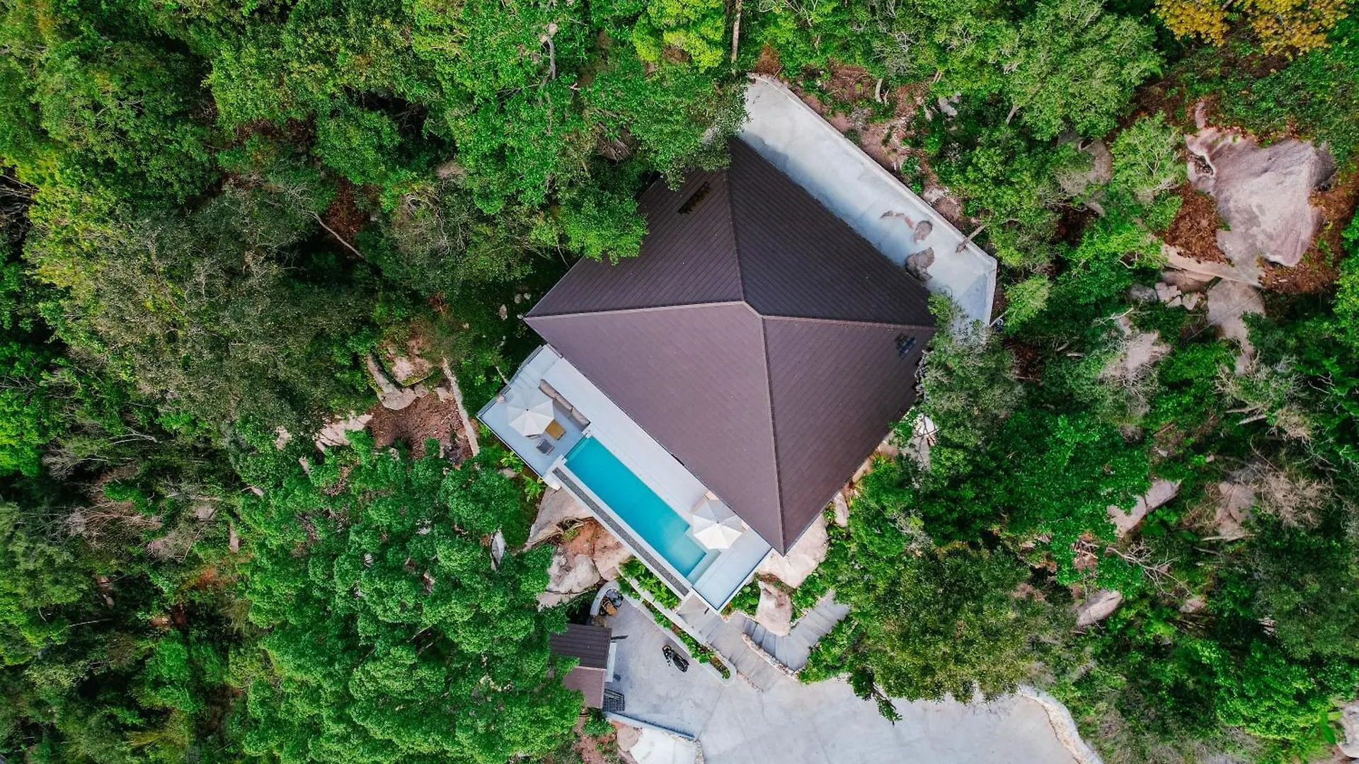 Amor Kohtao Ko Tao Thailand